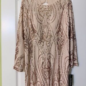 R&M Richards Rose Gold/Champaign Sequin Long Sleeve Dress